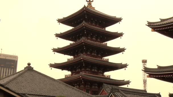 Five Storied Pagoda e Kannon do Temple a Tokyo Giappone — Video Stock